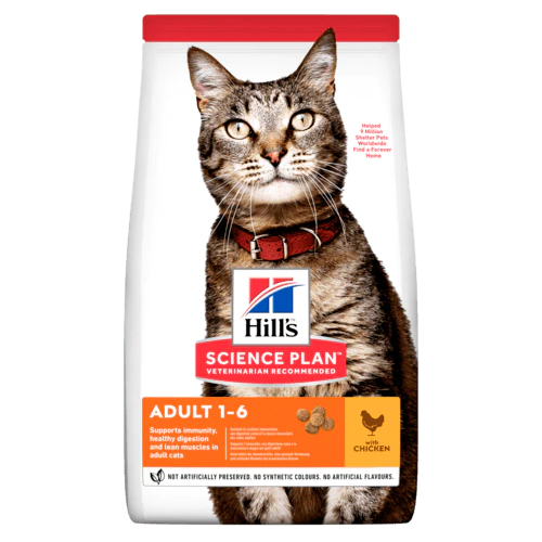 Cat Food For Sensitive Stomach