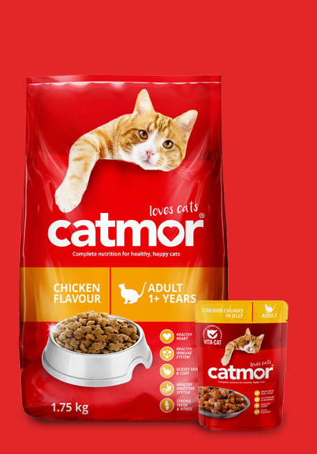 Cat Food For Sensitive Digestion